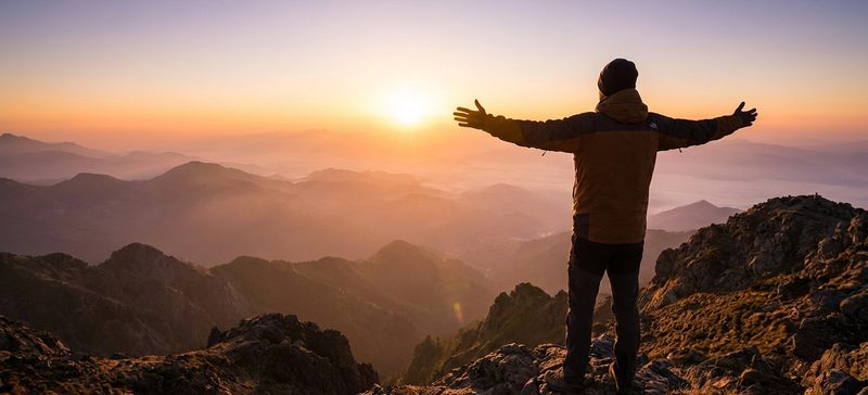 Phallosan Forte vs PeniMaster PRO — Der große Vergleich 2026