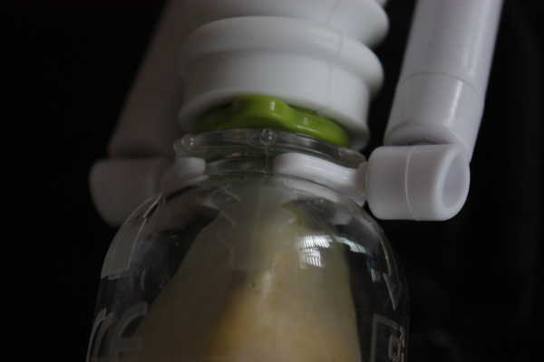 Phallosan Forte Pumpe nach links drehen zum Verriegeln